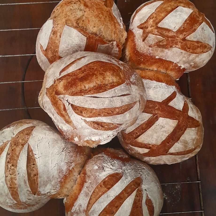 Pães redondos recém-assados esfriando na grade